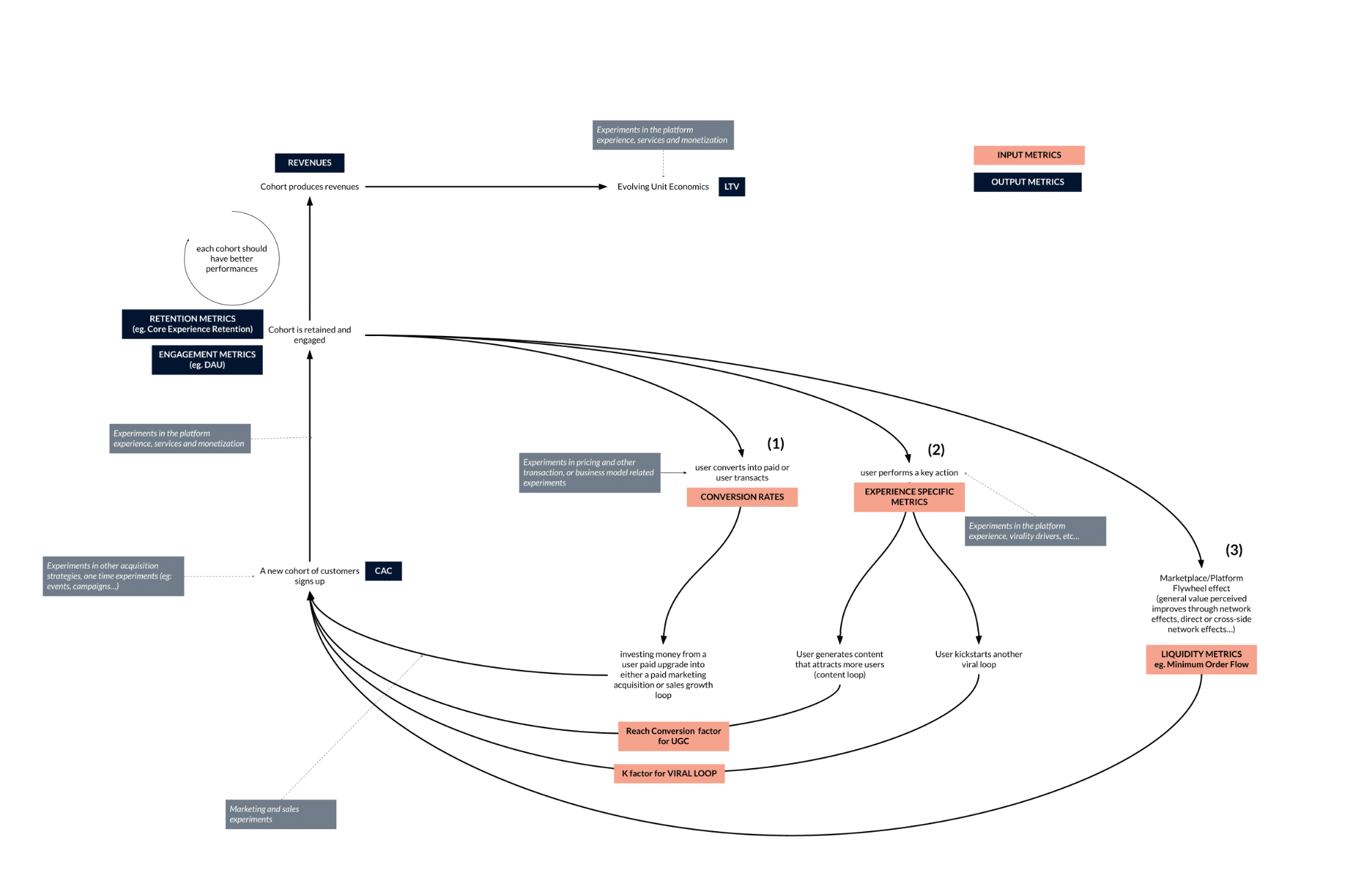 Growth Loops: From linear growth to circular growth - Ness Labs